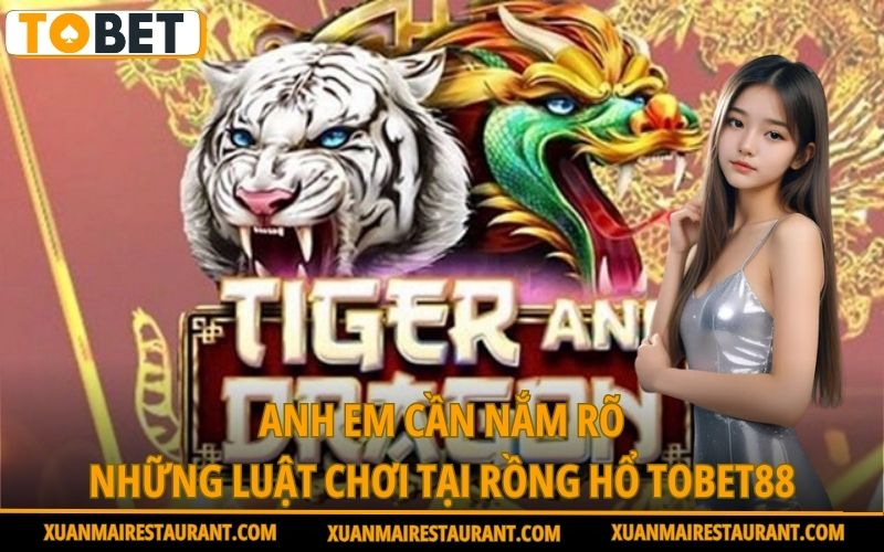 anh-em-can-nam-ro-nhung-luat-choi-tai-rong-ho-tobet88