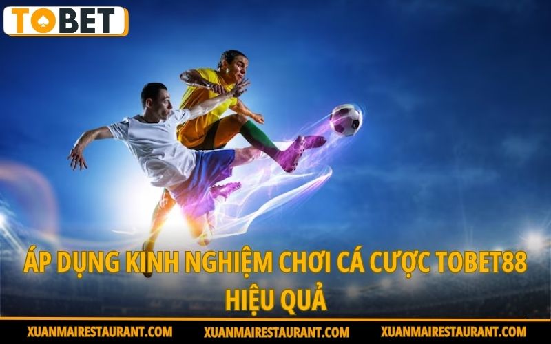 ap-dung-kinh-nghiem-choi-ca-cuoc-tobet88-hieu-qua