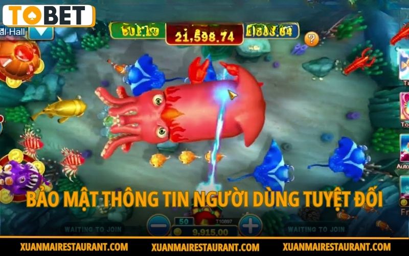 bao-mat-thong-tin-nguoi-dung-tuyet-doi