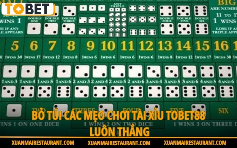 bo-tui-cac-meo-choi-tai-xiu-tobet88-luon-thang
