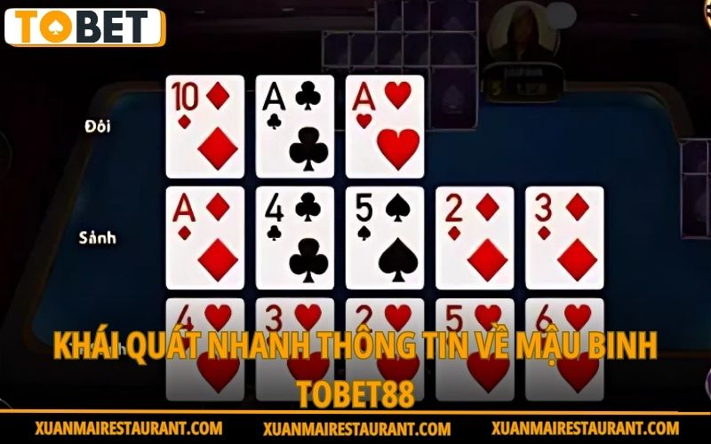khai-quat-nhanh-thong-tin-ve-mau-binh-tobet88