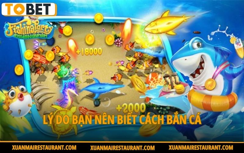 ly-do-ban-nen-biet-cach-ban-ca