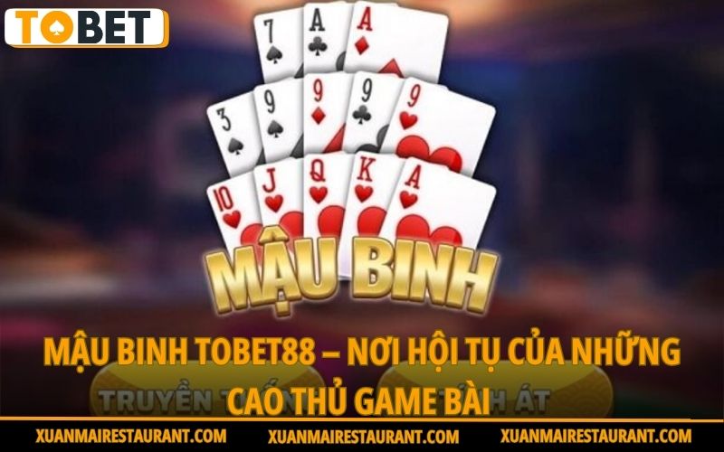 mau-binh-tobet88-noi-hoi-tu-cua-nhung-cao-thu-game-bai