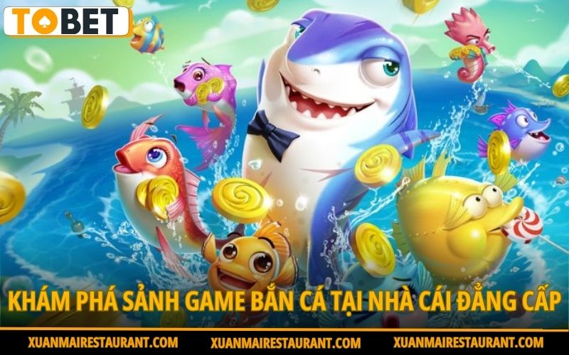 so-sanh-ban-ca-gioi-thieu