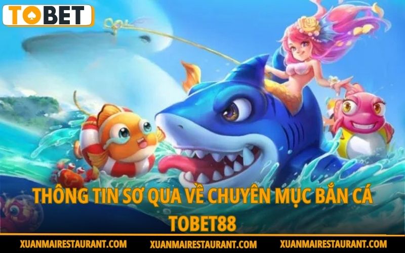 thong-tin-so-qua-ve-chuyen-muc-ban-ca-tobet88