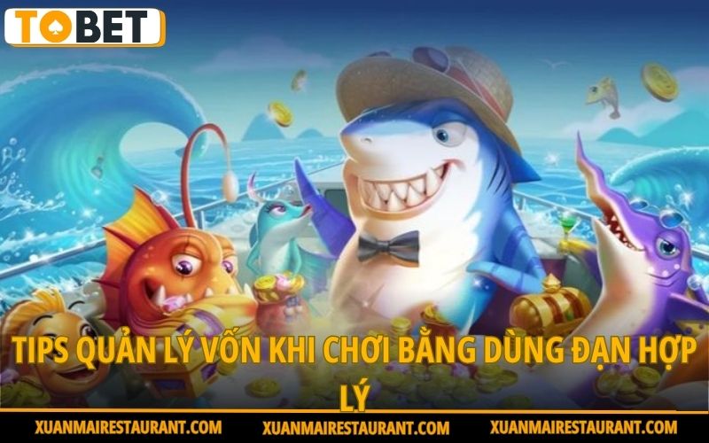 tips-quan-ly-von-khi-choi-bang-dung-dan-hop-ly