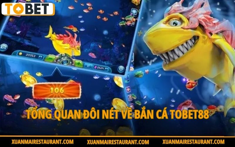tong-quan-doi-net-ve-ban-ca-tobet88