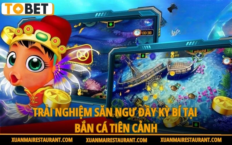 trai-nghiem-san-ngu-day-ky-bi-tai-ban-ca-tien-canh