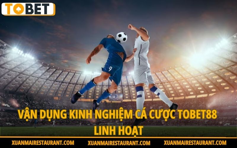 van-dung-kinh-nghiem-ca-cuoc-tobet88-linh-hoat